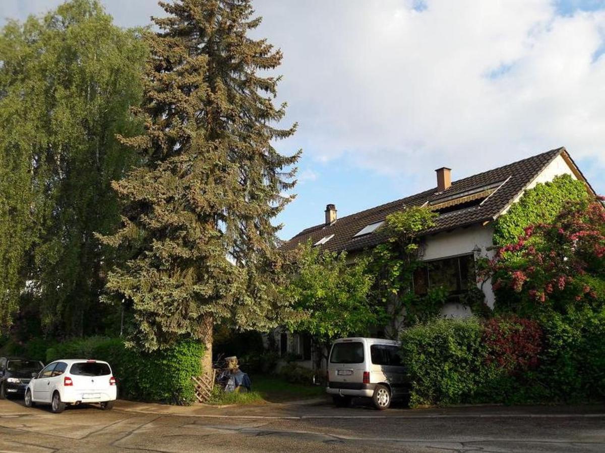 Appartement Haus Zur Bienenweide à Schömberg Extérieur photo